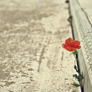 Meet your Posher, Mayruby